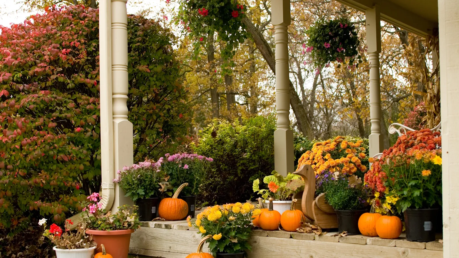 6 motivi sostenibili per installare una catena di pioggia - per un upgrade pratico ma grazioso giardino autunnale