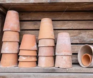 Comment nettoyer les pots en terre cuite – guide étape par étape pour les rafraîchir