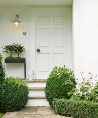 piante di bosso nel portico anteriore