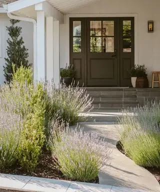 cortile anteriore con piante e sentiero