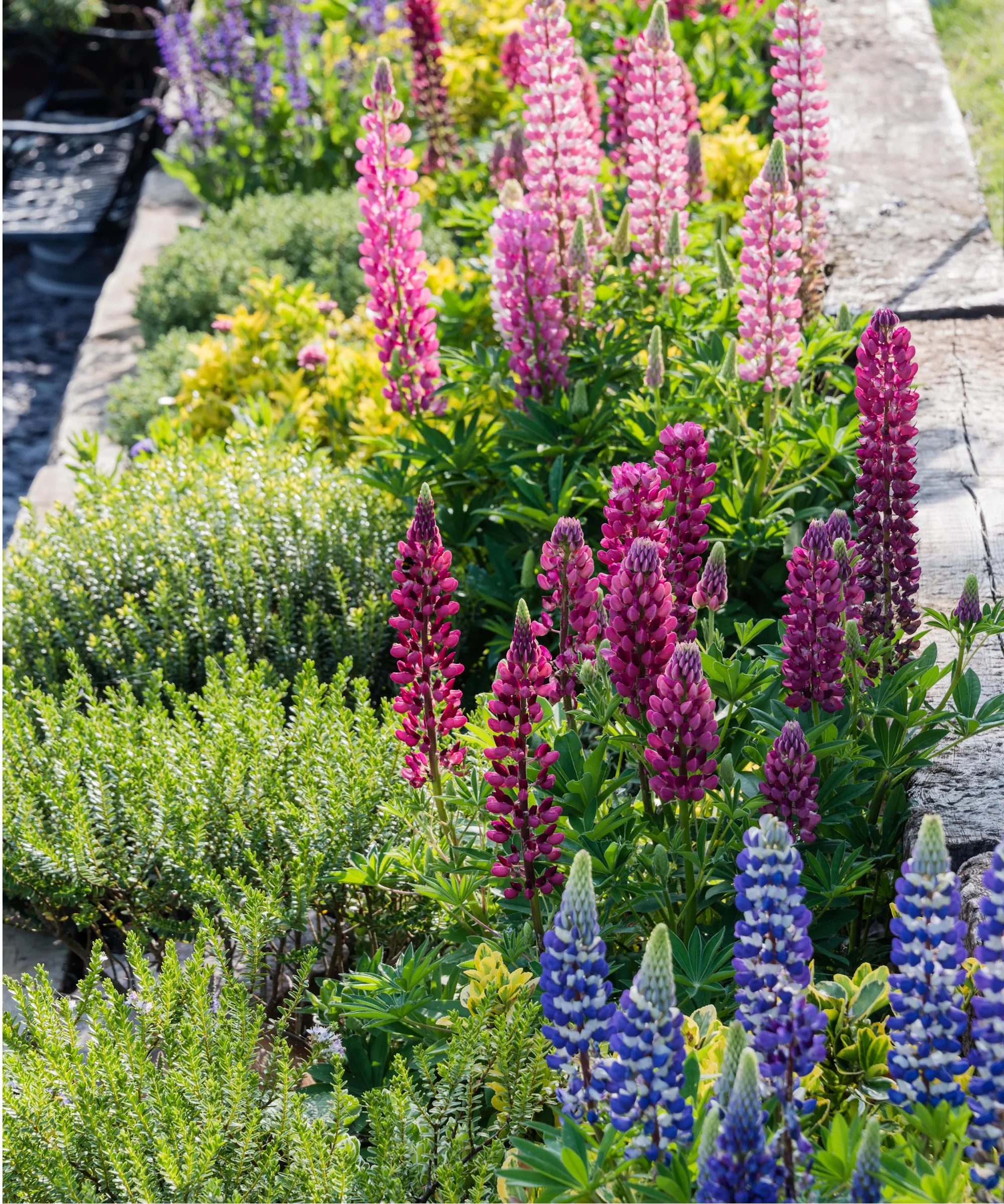 Canteiros de flores' loading='lazy' title=