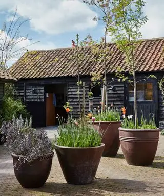 Store terrakottaplantepotter på en murgård foran en trebygning