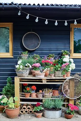 Ideen für den Hinterhof eines Cottages mit Blumentopf