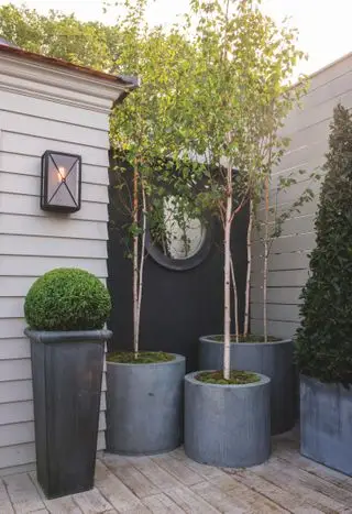 Fioriere grigie con alberi e topiaria