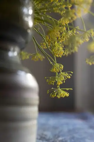Dildblomster i en vase