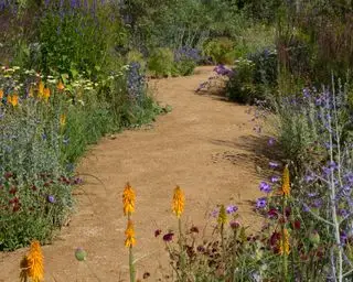 camino curvo del jardín de grava entre la plantación