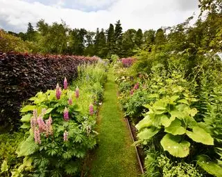 camino del jardín de hierba entre macizos de flores elevados