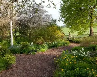 Camino de jardín hecho de virutas de corteza en la zona del jardín del bosque