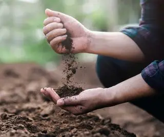 mani che tengono il terreno del giardino