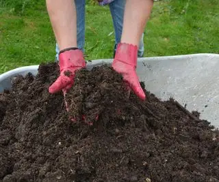 En trillebår full av godt råtten hjemmelaget kompost