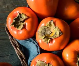 Como plantar sementes de caqui – e cultivar essas árvores frutíferas e descomplicadas