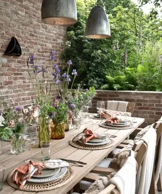 table à manger et plantes de jardin