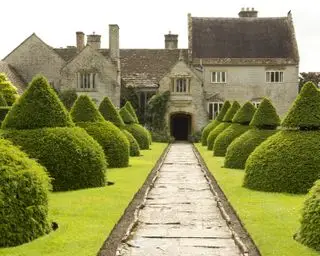 topiary i kunst- og håndverkshagen til Lytes Cary National Trust