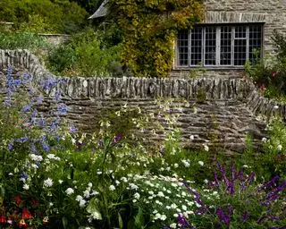 rikt blomstrende grenser for kunst og håndverk hage coleton fishacre National Trust