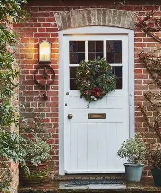Il miglior fogliame per l'arredamento natalizio: 8 tipi di verde per interni naturali e festivi