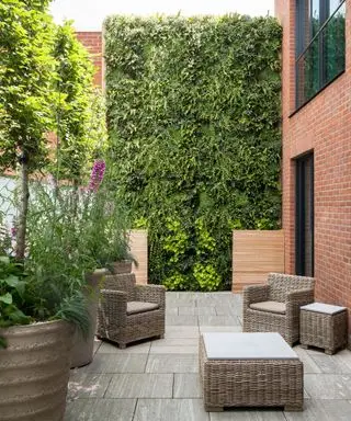 Et høyt hagegjerde med levegg av planter og rotting hagemøbler på en uteplass under.