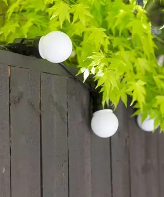 Globe fe lys som illustrerer gjerde dekorere ideer på et tre gjerde.