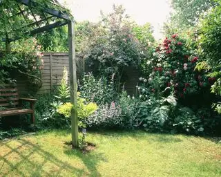 Et eksempel på roser brukt som gjerdedekorasjonsideer i en hage med plen.