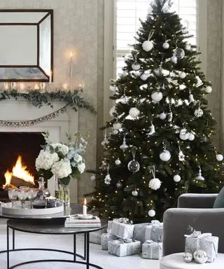 Echter Baum in einem Wohnzimmer in der Nähe eines Kamins
