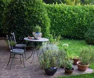 Idyllisk vårterrasse i italiensk hage med lite smijernsbord og stoler mot mørk laurbærhekk.
