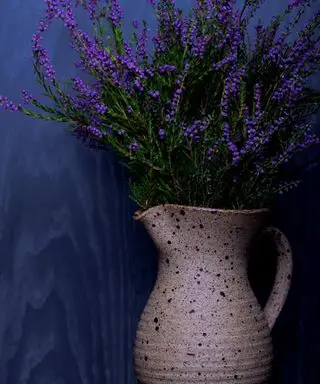 Steli di lavanda che emergono da un vaso a brocca in gres