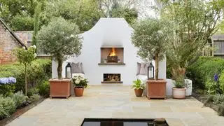 Meilleurs arbres à cultiver en pots - oliviers en pots dans un espace de vie extérieur de style méditerranéen