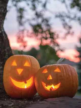 Calabaza, Jack O Lantern