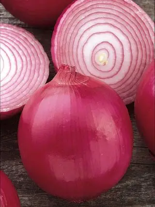 Cebolla Roja Criolla
