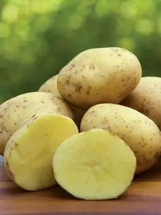 Patata, Yukon Gold
