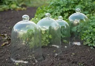 campanas de jardin