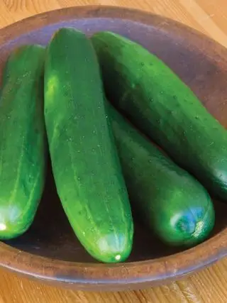 Pepino, belleza sin eructar