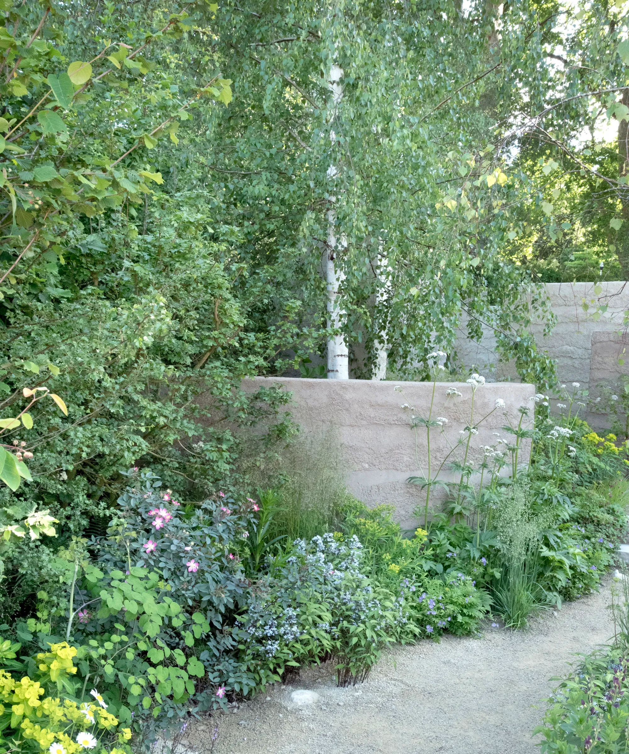 alberi e altre piantagioni' loading='lazy' title=