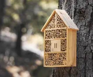 Um hotel abelha colocado em uma árvore