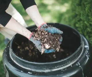 Abono casero en compostador