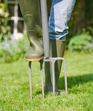 luftning af en græsplæne