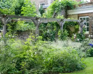 Dřevěná pergola s výsadbou a popínavými růžemi, které se plazí po podpěrách v zahradním designu od Jo Thompson Garden Design