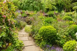 コテージ ガーデンに密に植えられた花とボックス ボールの境界線