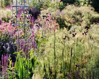 花粉媒介者の花がある環境に優しい庭園
