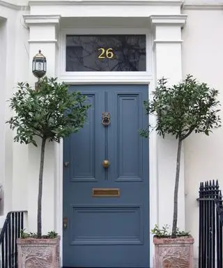 Puerta de entrada azul con árboles en macetas afuera