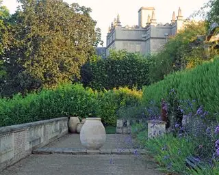 Ein Beispiel für Ideen für einen Innenhofgarten mit einer großen Urne, lila Blumen und Hecken.