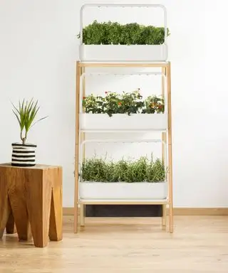 hydroponisk Smart Garden