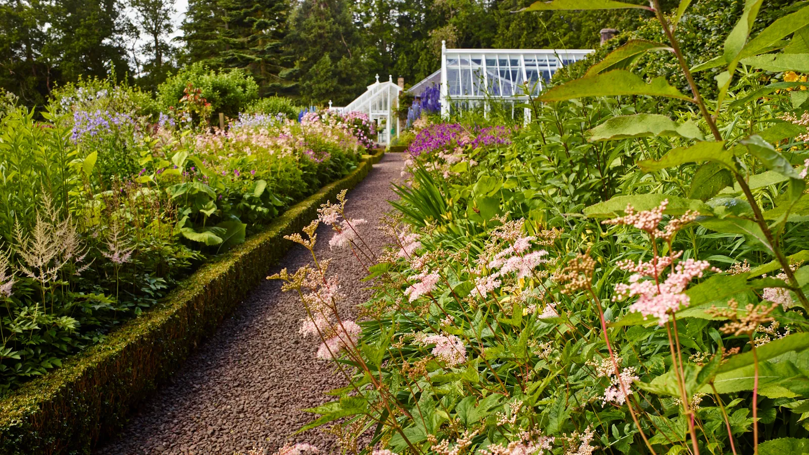 נובמבר הוא זמן אידיאלי לקחת ייחורים - הנה 7 צמחים שפותחו בצורה מושלמת להתרבות החודש