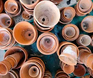 Et udvalg af terracotta plantepotter