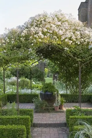 Rosehageideer - Rosehage som vokser over pergola på Sissinghurst