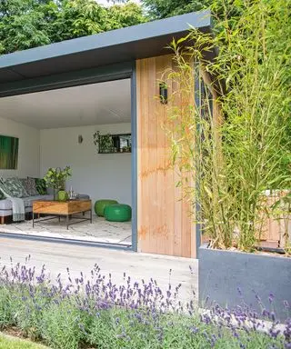 bambou planté dans un récipient sur une terrasse avec de la lavande poussant dans un parterre de fleurs devant