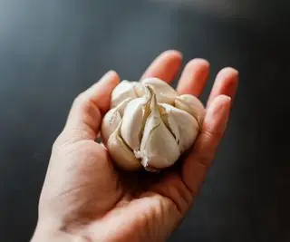 Uma mão segurando um bulbo de alho com os dentes abertos