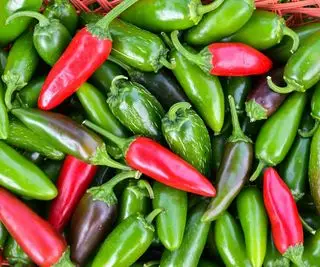 Ako pestovať papričky jalapeňos a získať vynikajúcu úrodu chutného ovocia