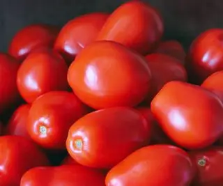 Quando e come concimare i pomodori: consigli degli esperti per un raccolto eccezionale
