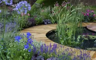 Ideas para plantar terrazas