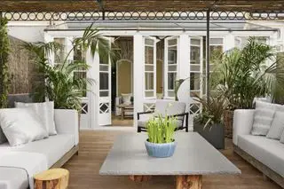 ideas para plantar terrazas
